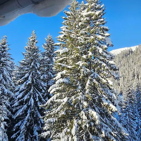 Panorama Warth 3* Warth (Vorarlberg)