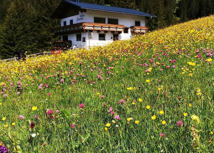 Penzion Panorama Warth 3*