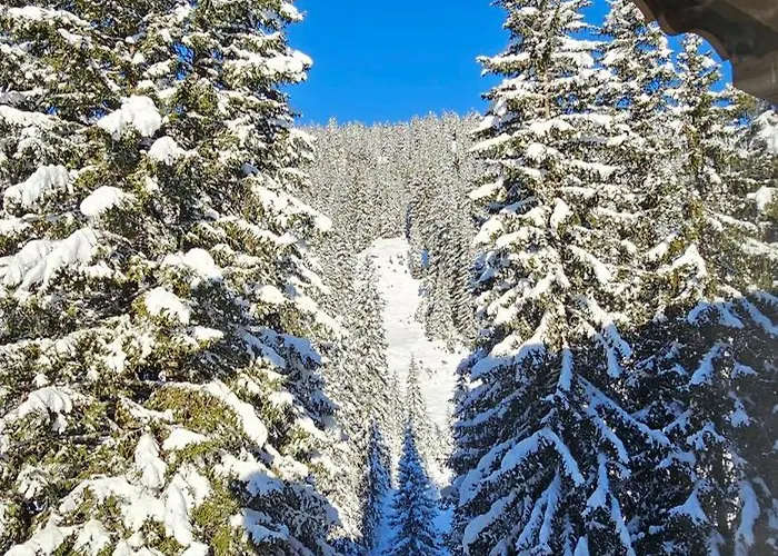 Panorama Warth Penzion 3*