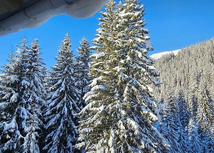 Panorama Warth 3* Steeg